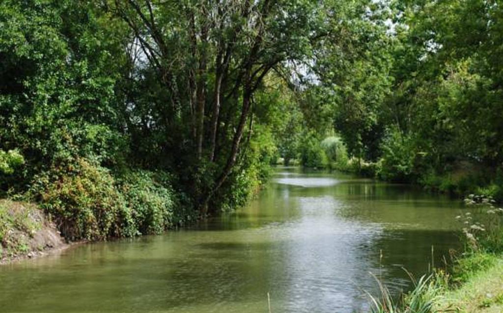 La Poussardiere Saint-Martin-sous-Mouzeuil Eksteriør bilde